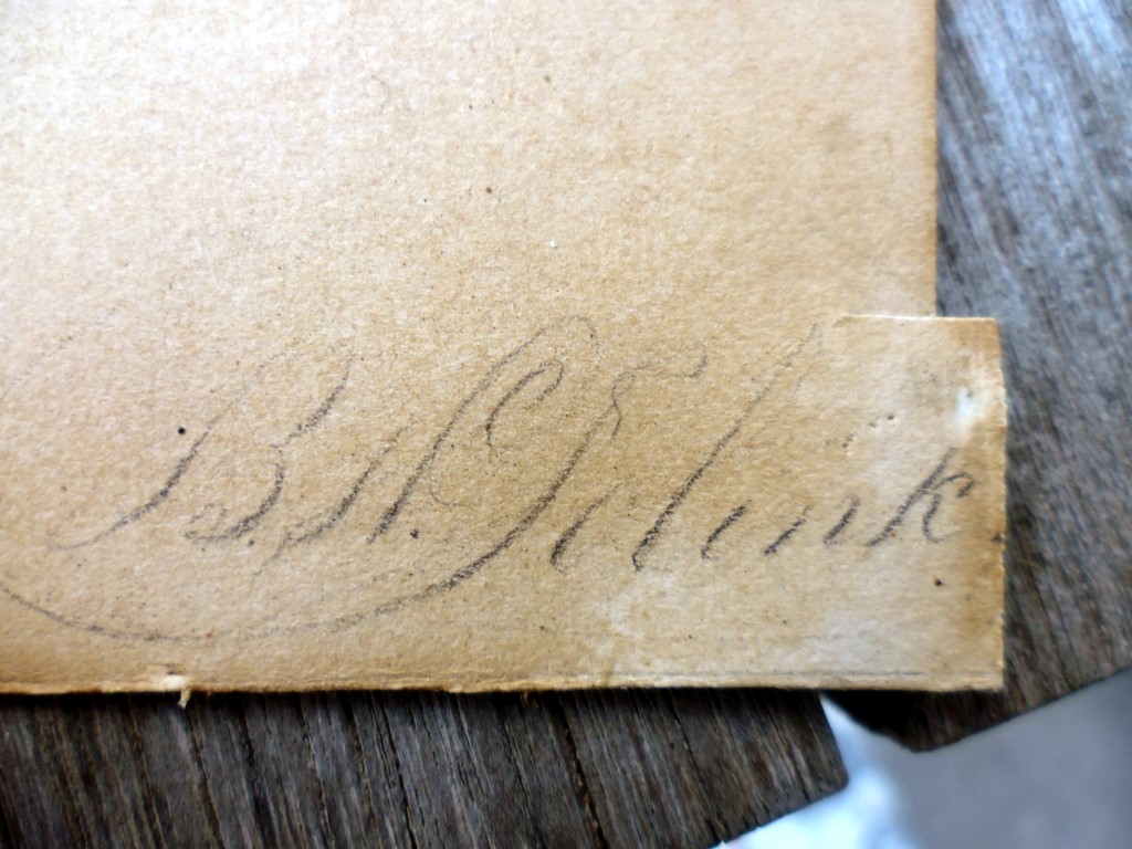 P1010894 (Medium).JPG