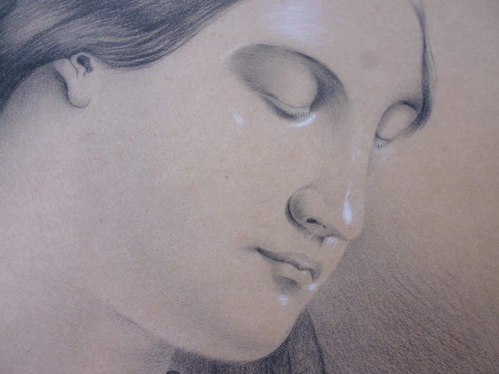 P1010896 (Medium).JPG