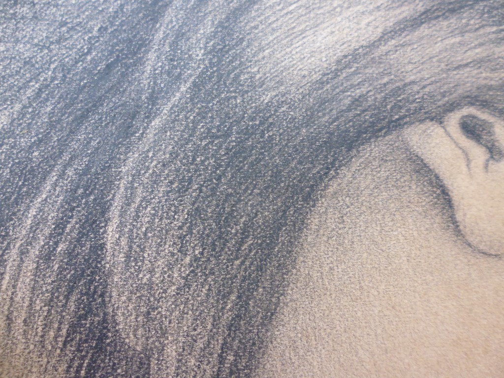 P1010898 (Medium).JPG