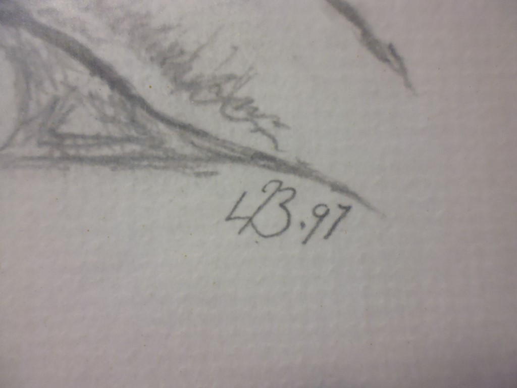 P1010997 (Medium).JPG