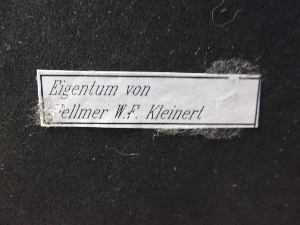 P1020287 (Medium).JPG