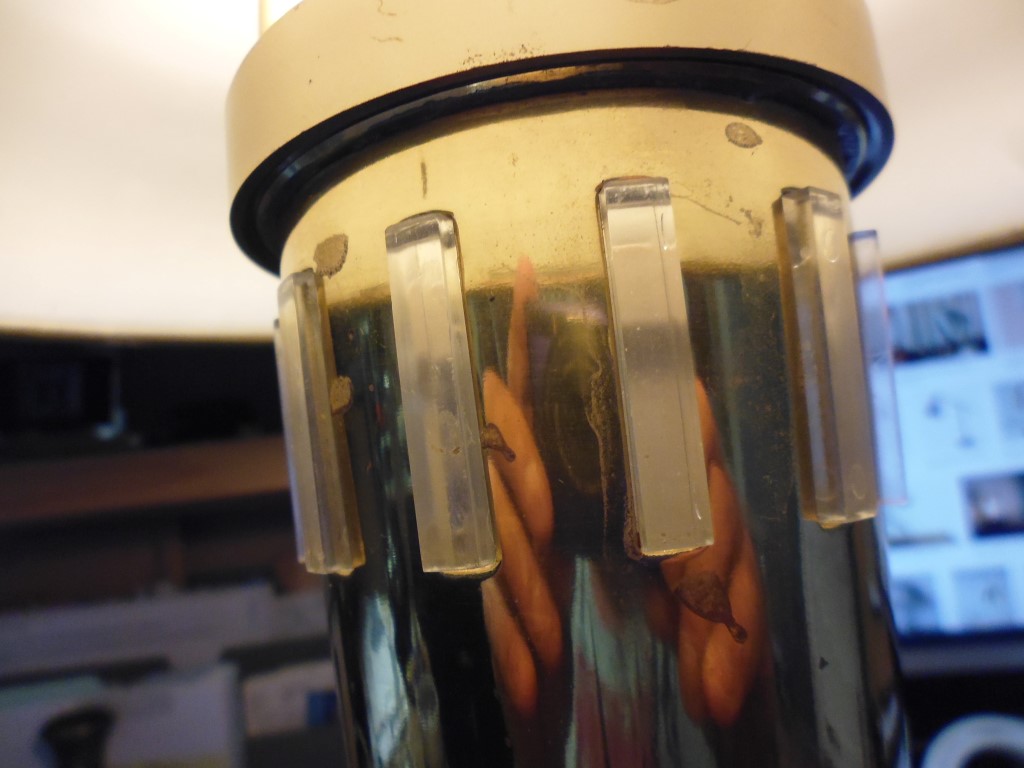 P1020294 (Medium).JPG