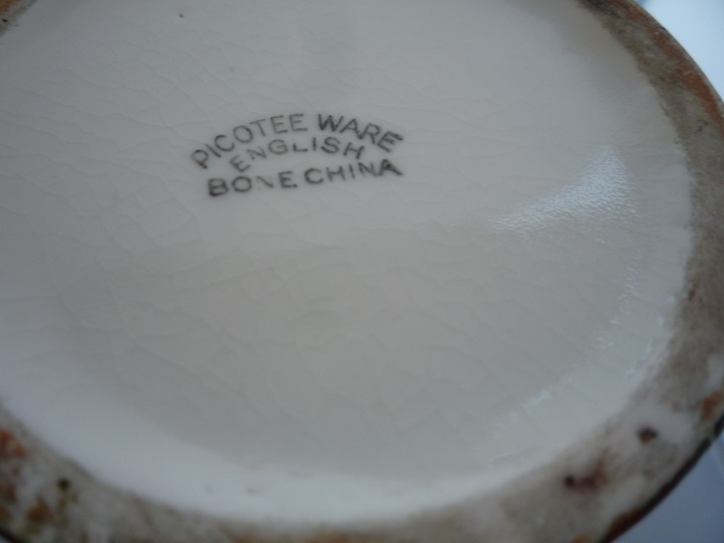 P1030231 (Medium).JPG