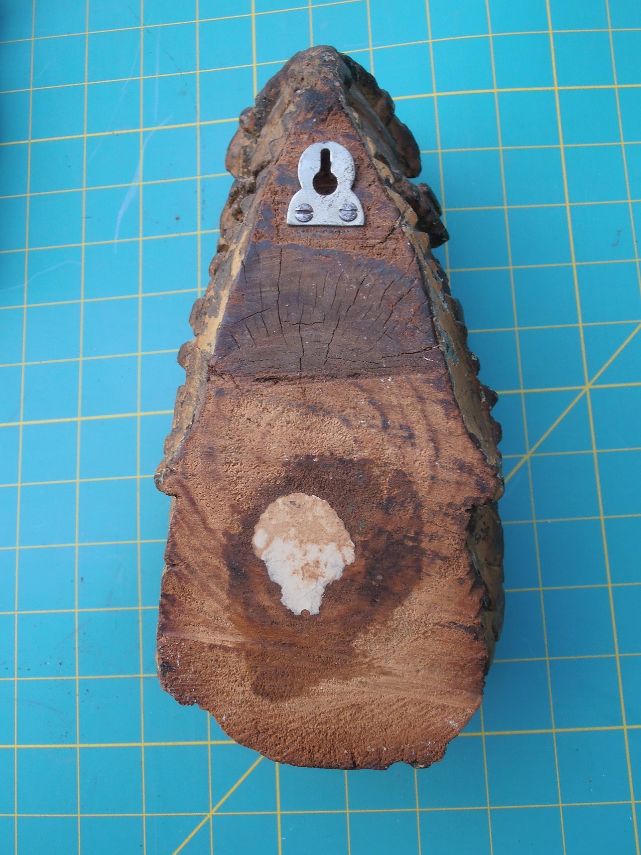 P1062016.JPG