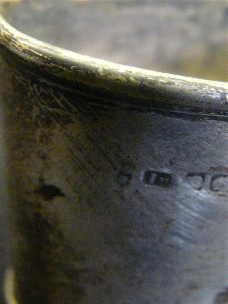 P1070122 (Medium).JPG