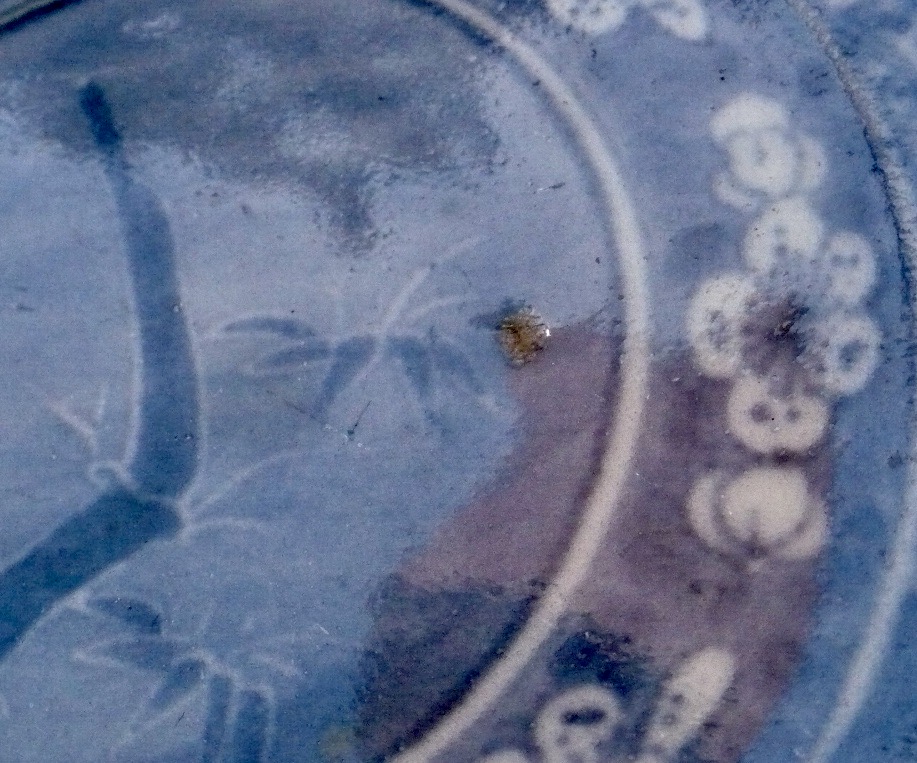 P1470230.jpeg