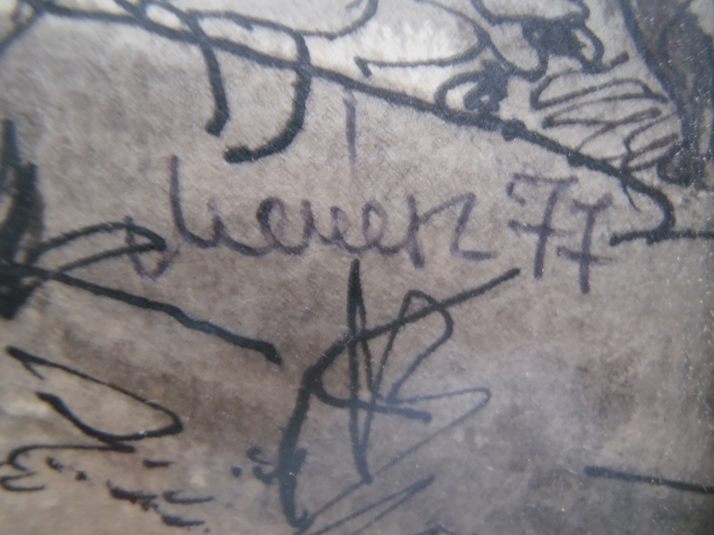 P2053132 (Large).JPG