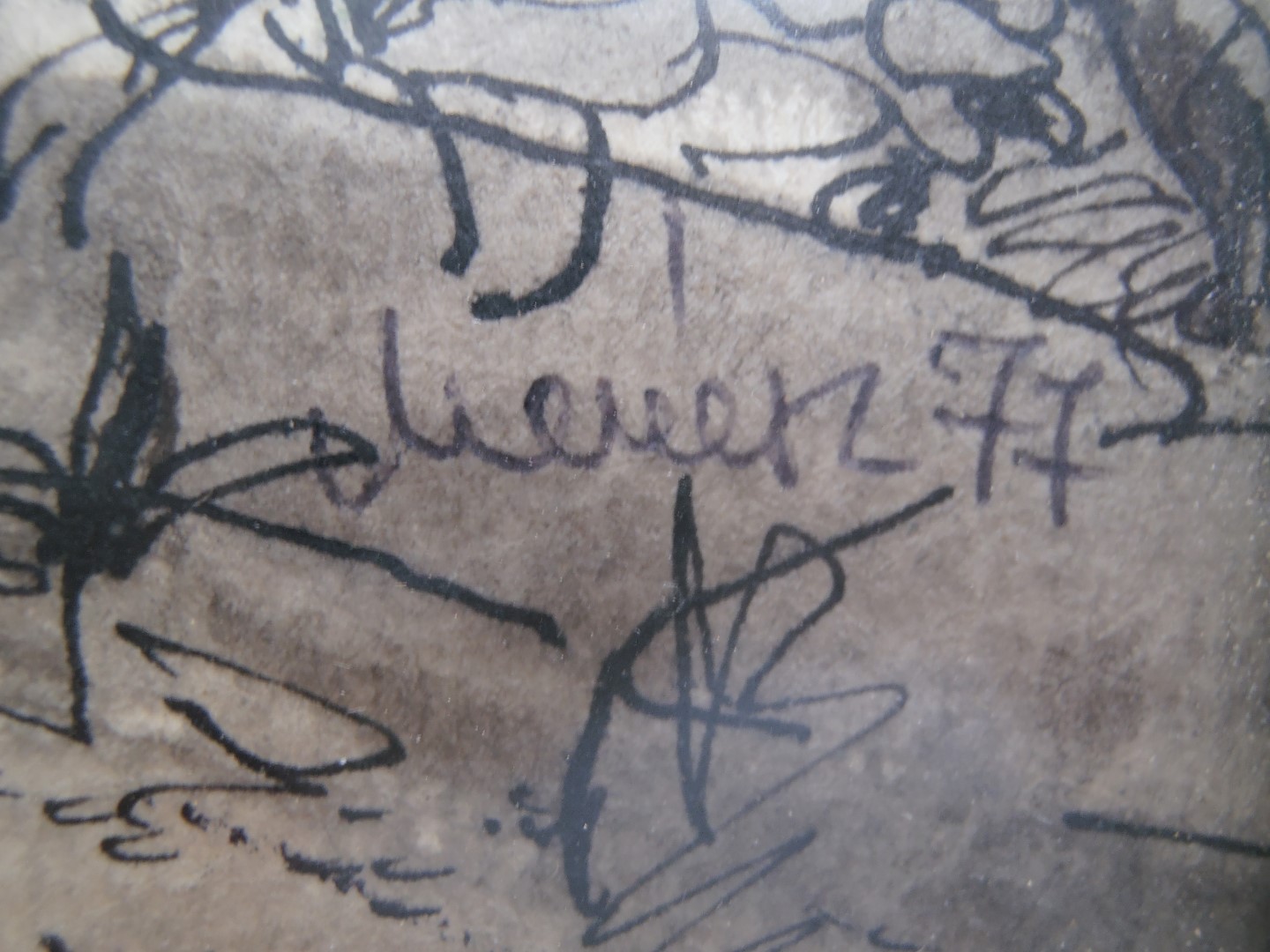 P2053133 (Large).JPG