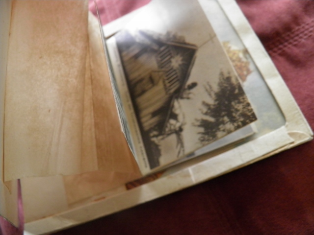 P4270013 (640x480).jpg