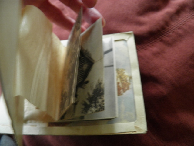 P4270014 (640x480).jpg