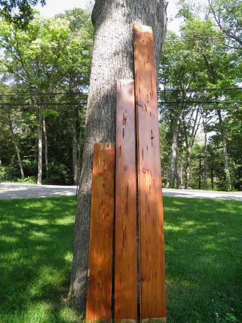 P8210045 (480x640).jpg