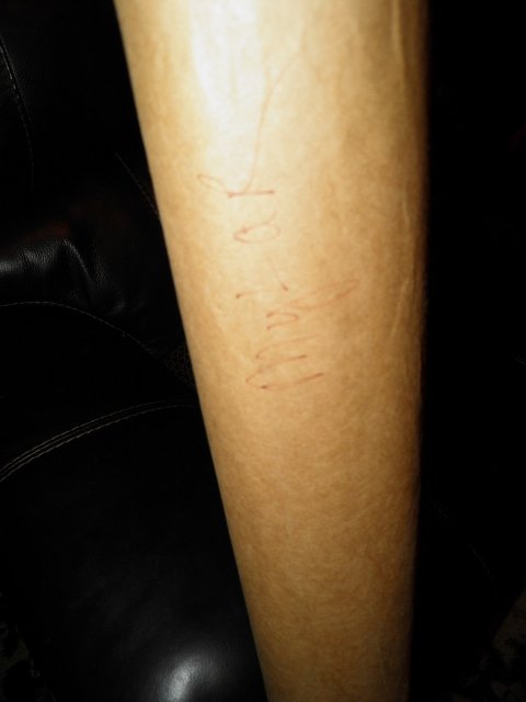 P8300030 (480x640).jpg