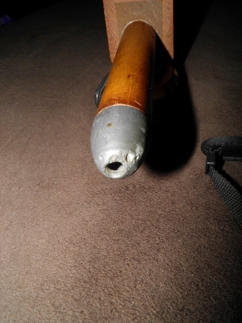 P9130090 (480x640).jpg