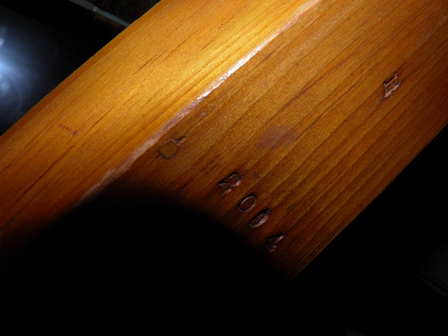 P9130092 (640x480).jpg