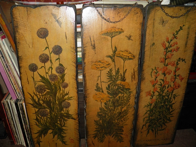 P9170029 (640x480).jpg