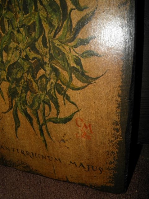 P9170030 (480x640).jpg
