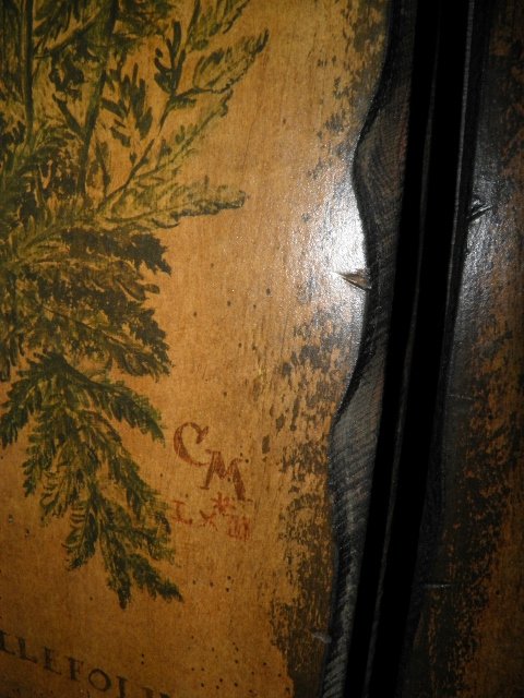 P9170031 (480x640).jpg
