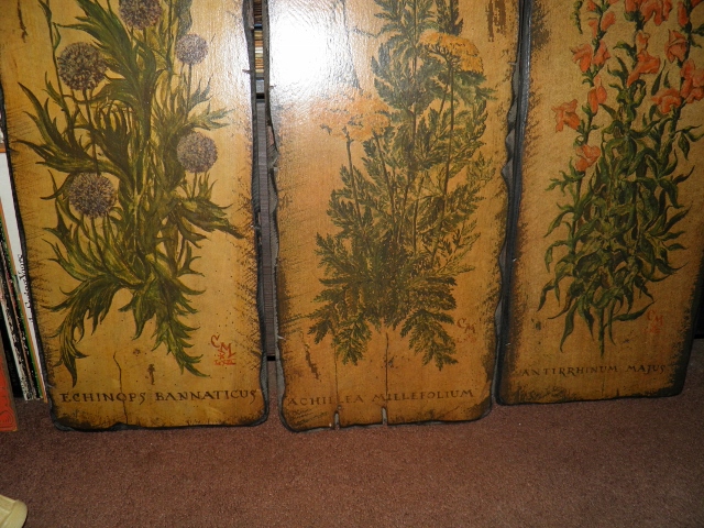 P9180047 (640x480).jpg