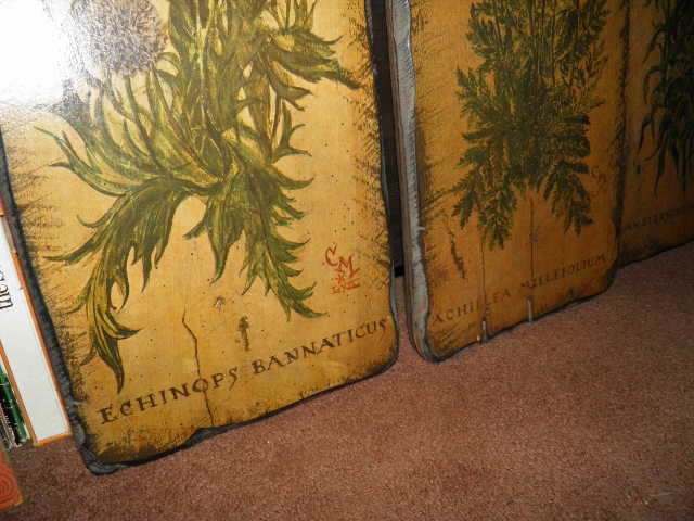P9180048 (640x480).jpg