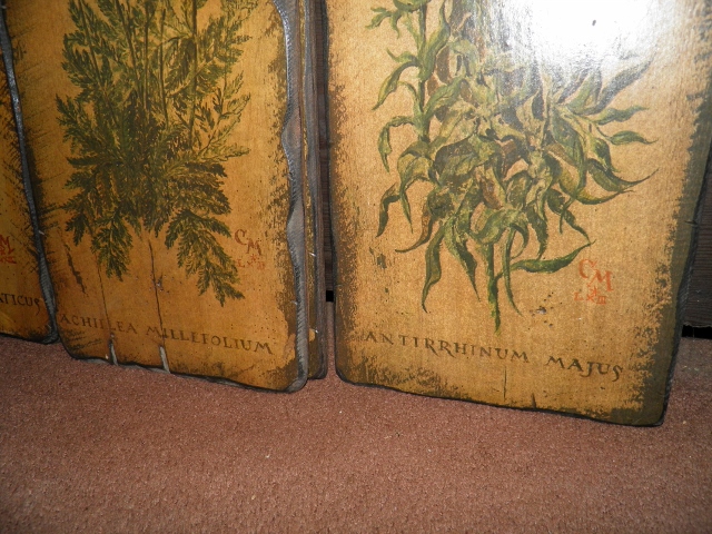 P9180049 (640x480).jpg