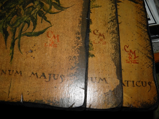 P9180055 (640x480).jpg