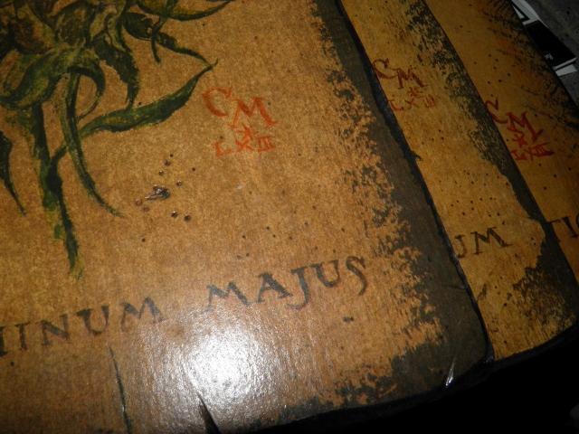 P9180056 (640x480).jpg