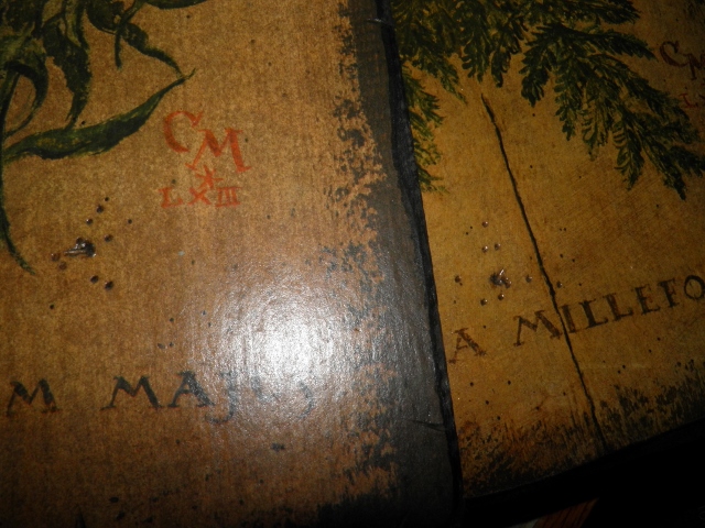 P9180057 (640x480).jpg