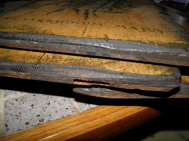 P9180061 (640x480).jpg