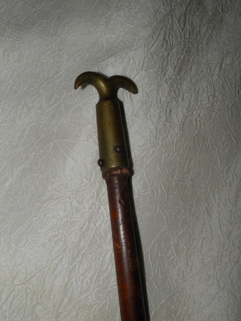 PA250210 (480x640).jpg