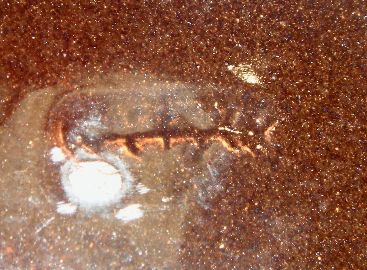 painted jug - 6.jpeg