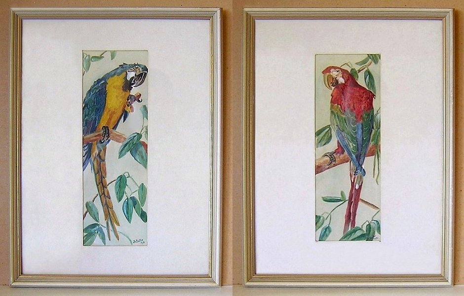 PaintingWatercolorChBaltes1951ParrotPair-za.jpg