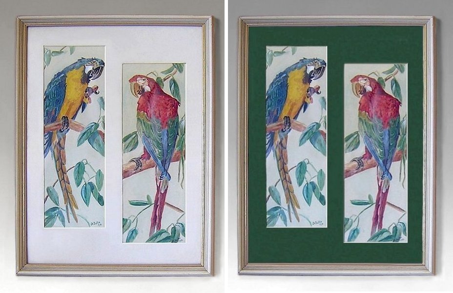 Reframing parrot watercolors. Good? Bad? Ugly? Antiques Board