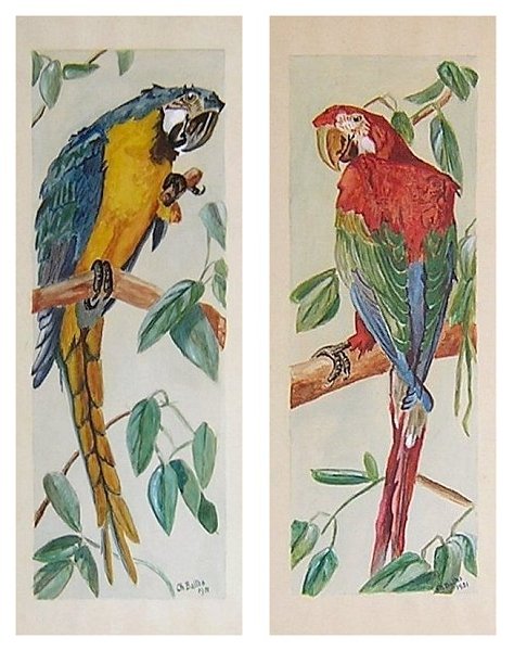 PaintingWatercolorChBaltes1951ParrotPair-zd.jpg