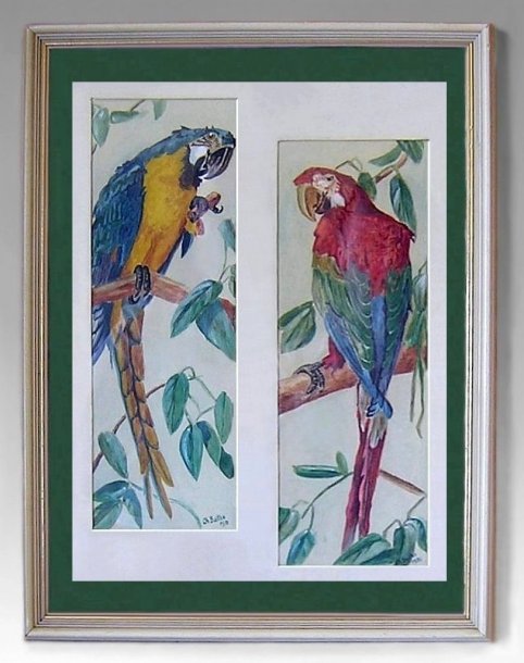 PaintingWatercolorChBaltes1951ParrotPair-zf.jpg