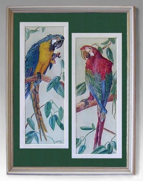 PaintingWatercolorChBaltes1951ParrotPair-zg.jpg