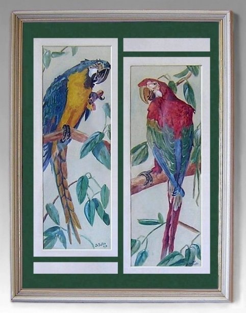 PaintingWatercolorChBaltes1951ParrotPair-zh.jpg