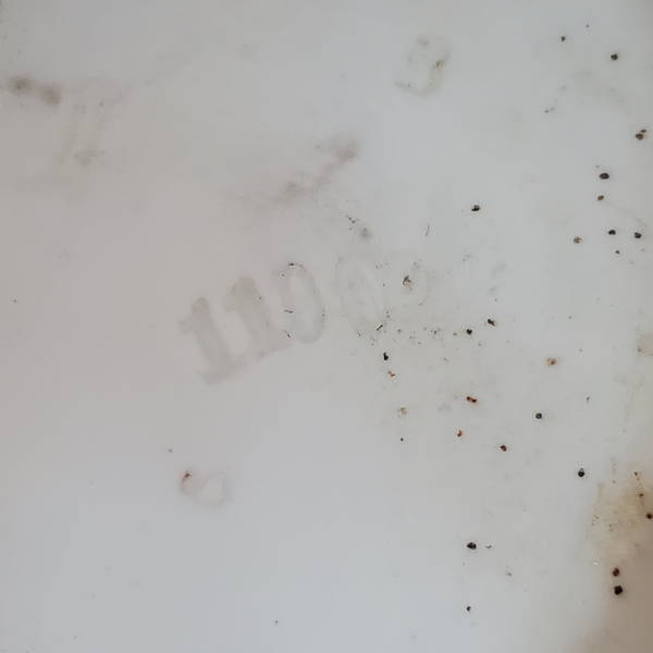 pair16.JPG