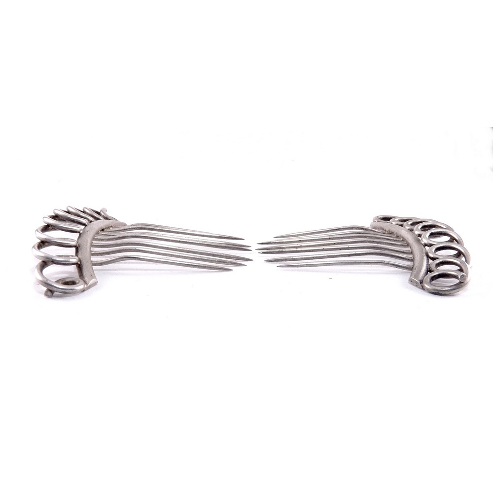 Pair_SS_coil_top_hair_combs_y.JPG