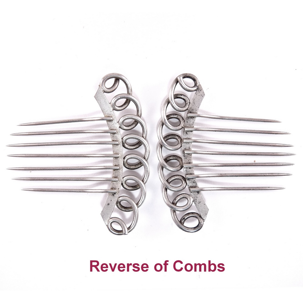Pair_SS_coil_top_hair_combs_z.jpg