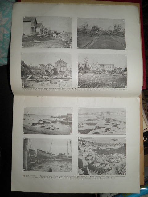 PB180106 (480x640).jpg