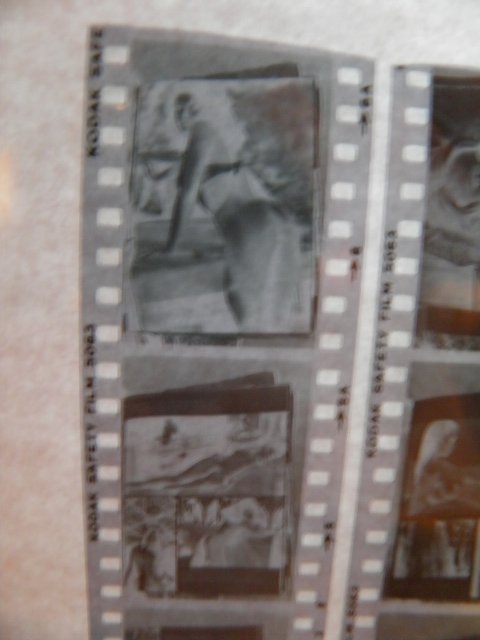 PB190070 (480x640).jpg