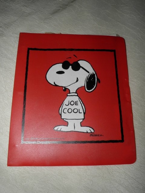 PB190075 (480x640).jpg