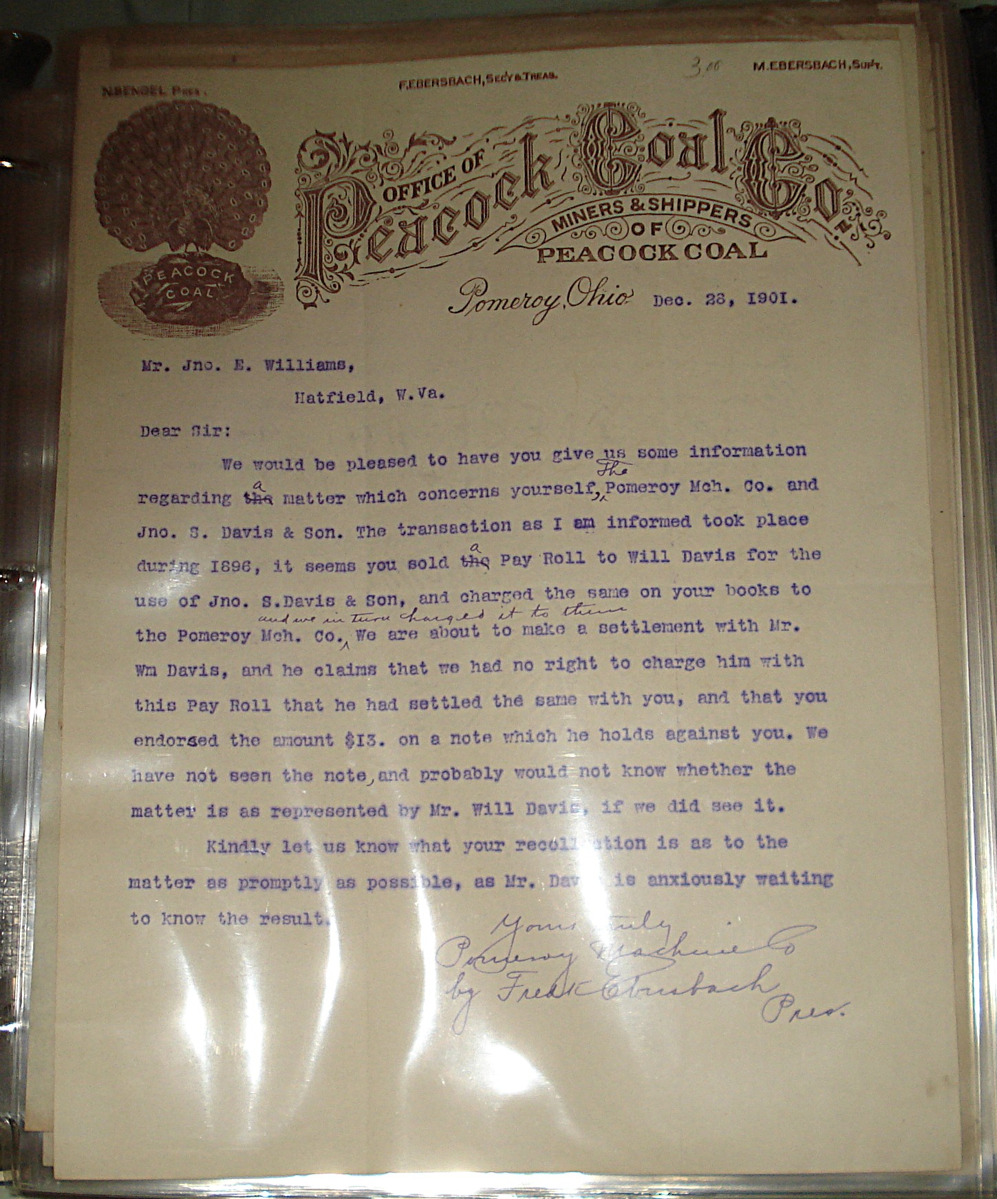 peacock coal 1 - DSC00777 cropped.JPG