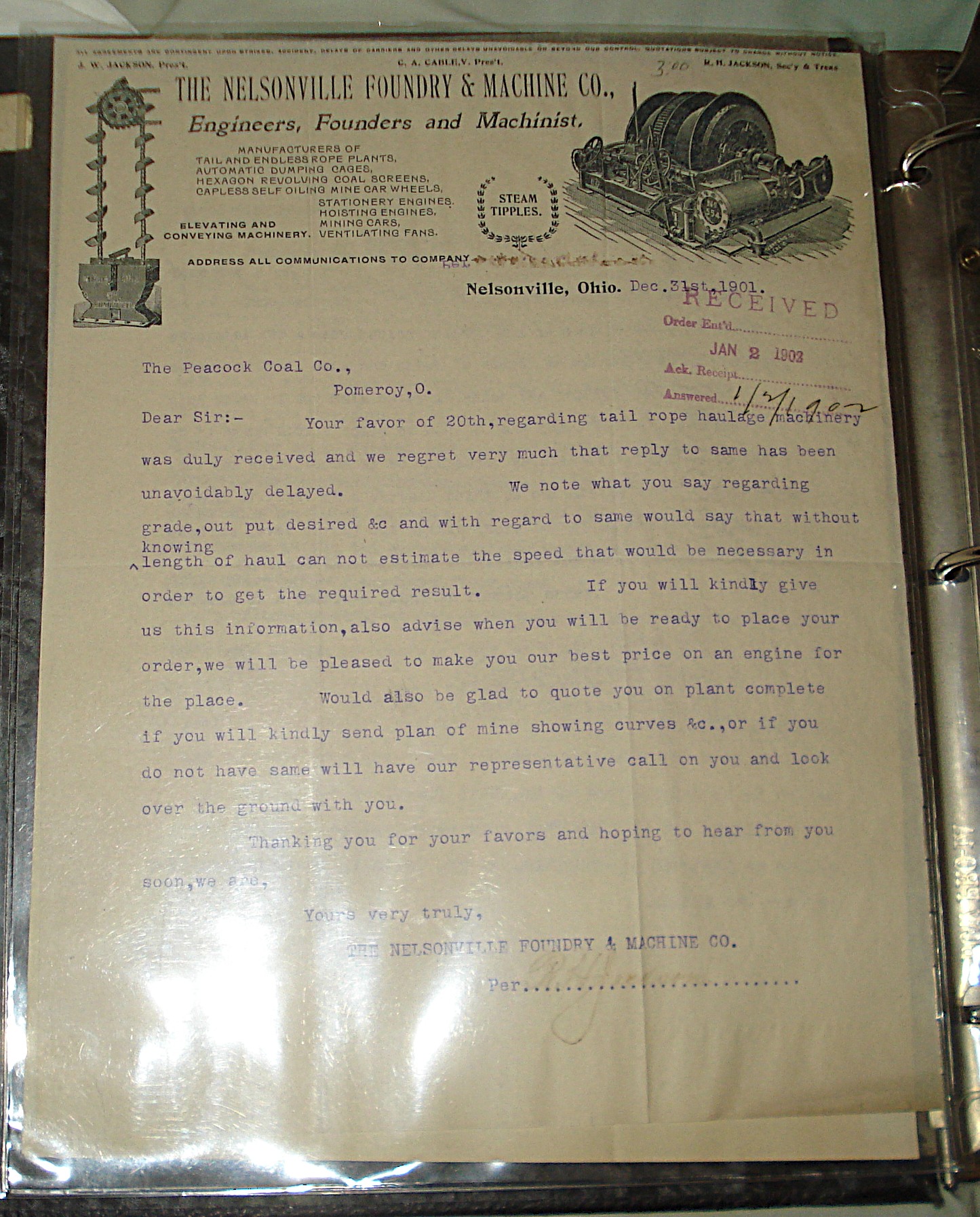 peacock coal 2 - DSC00778 cropped.JPG