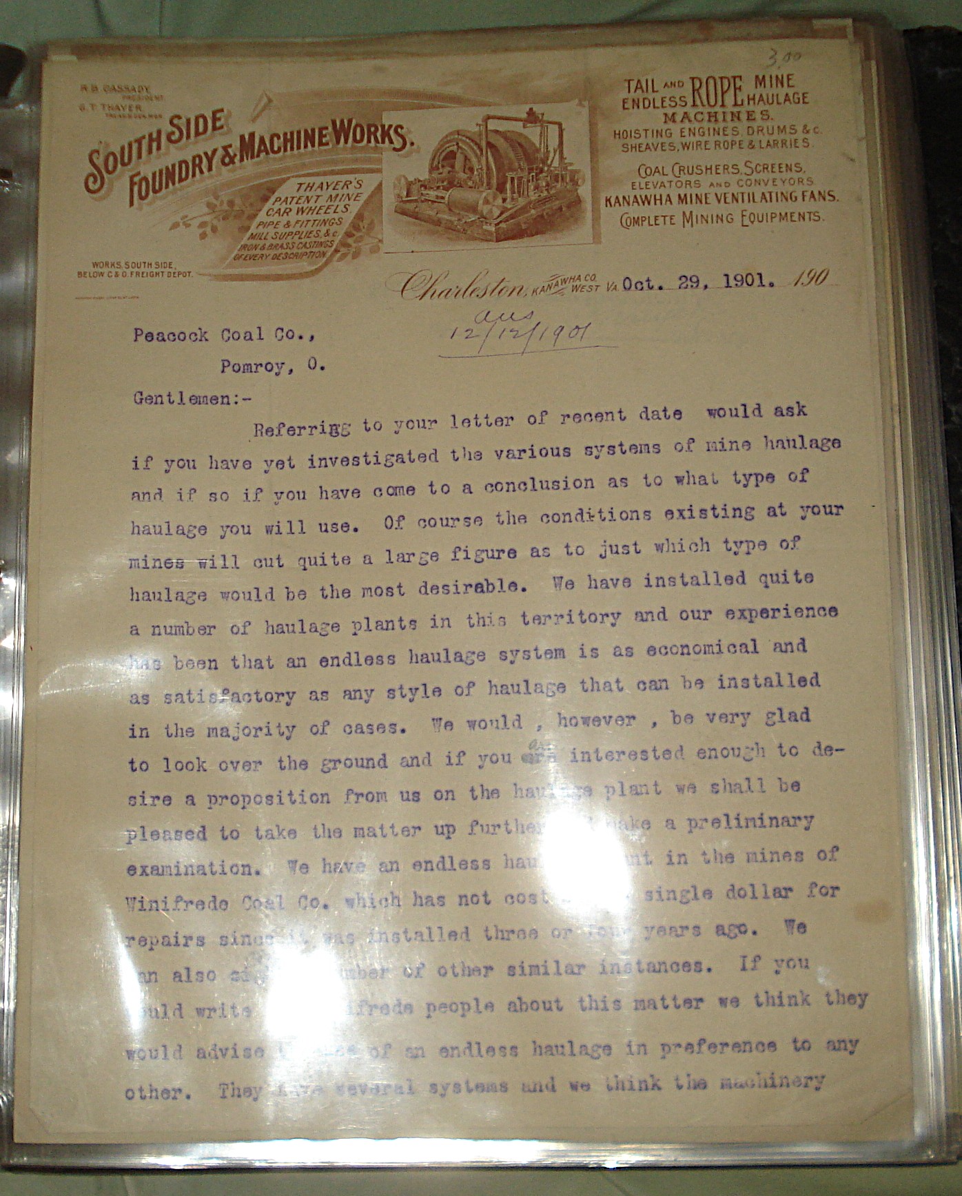 peacock coal 3 - DSC00779 cropped.JPG