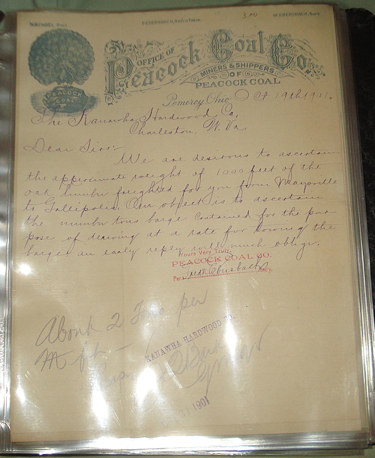 peacock coal 5 - DSC00787 cropped.JPG