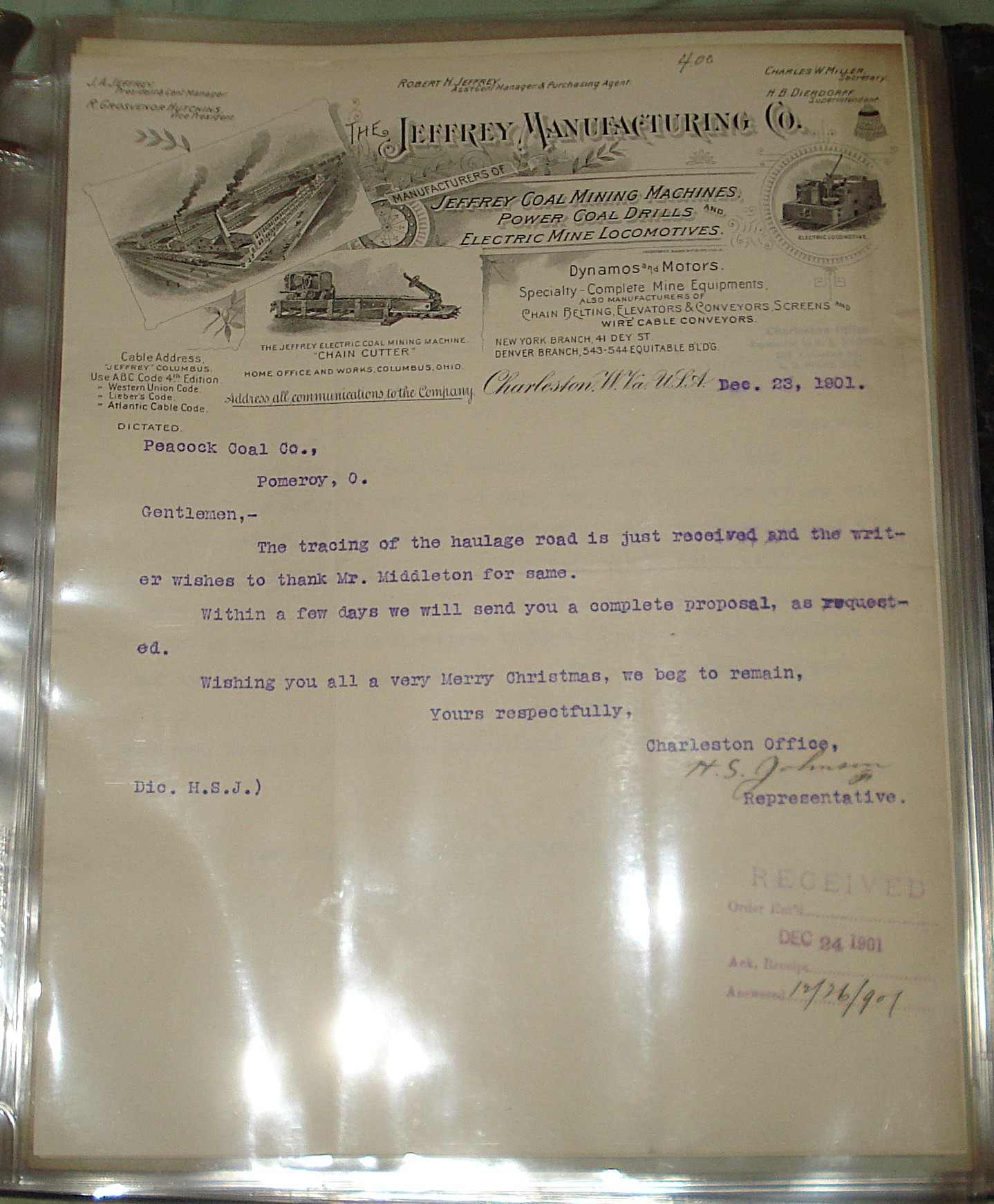 peacock coal 6 - DSC00789 cropped.JPG