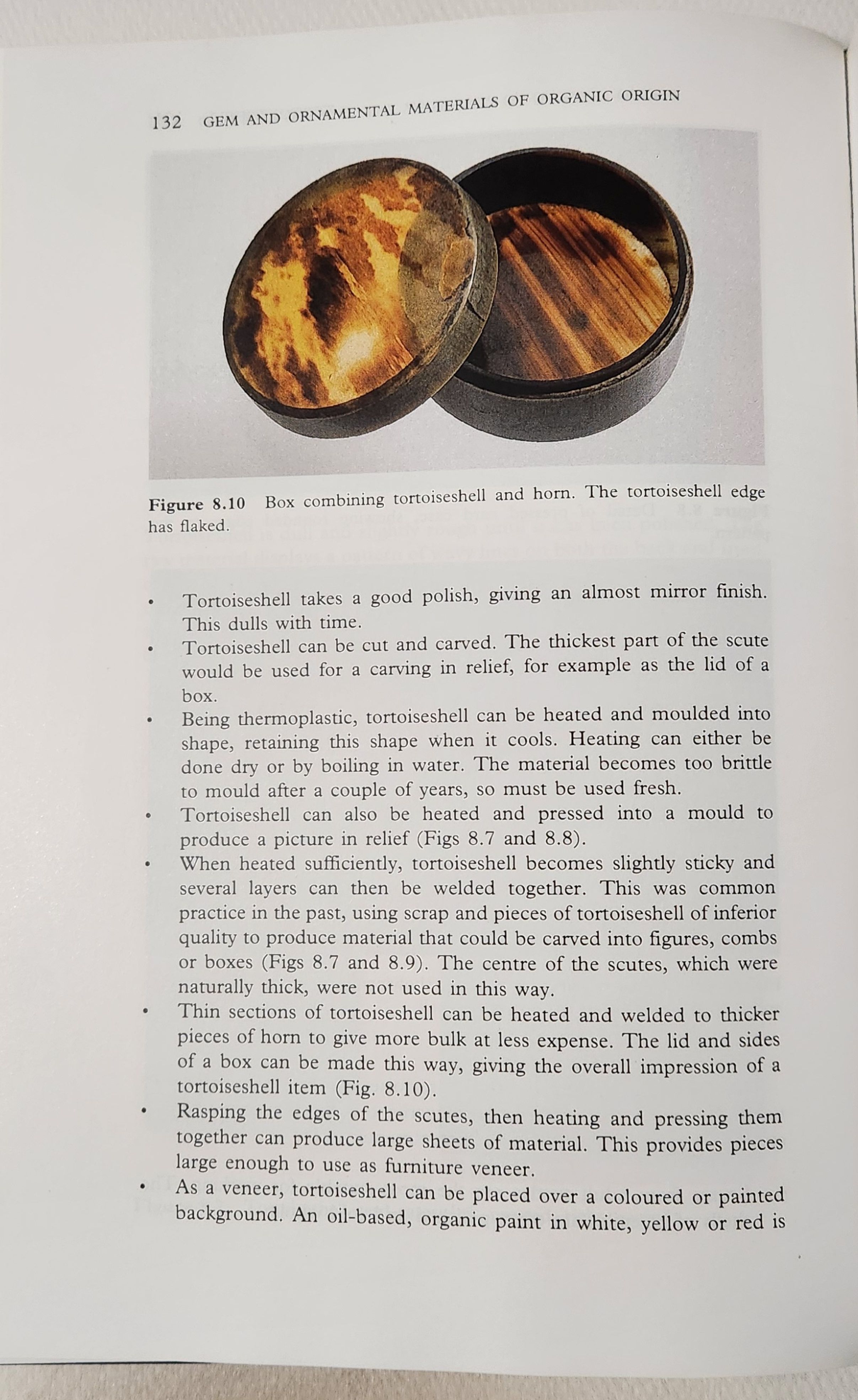 Pedersen tortoiseshell.jpg