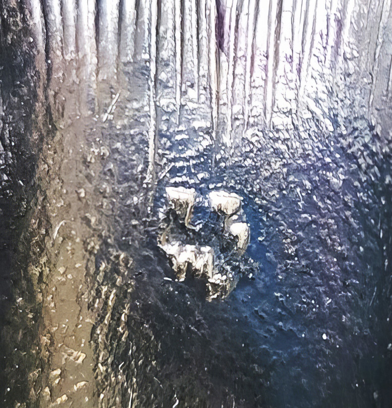 pipe8--gigapixel-low resolution-2x-REG-B.jpg