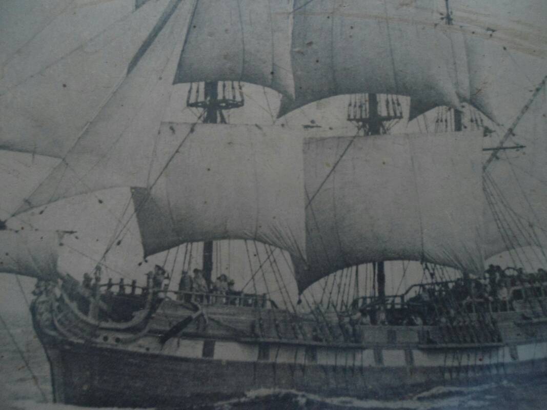 pirate7s_resize_20180515_180738.jpg